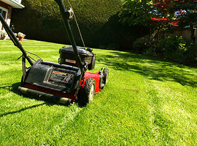 Mowing Services Near Me | M and W Mowing