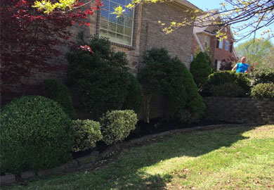Landscaping Services Near Me | M and W Mowing
