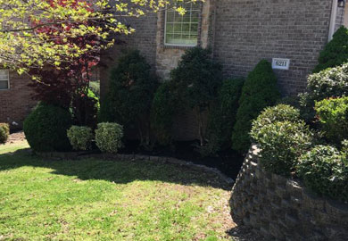 Mowing Services and Shrub Removal